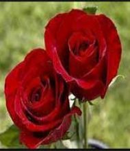 Tom and Mary Kelly and their son John